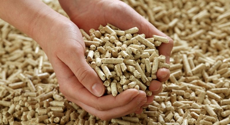 Biomass-v2